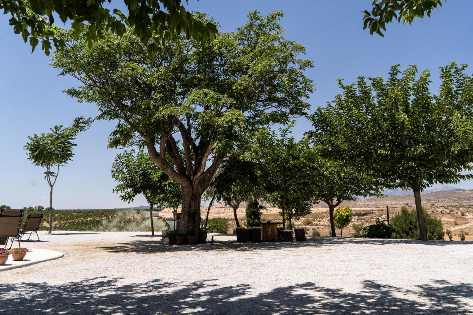 Homestay Cortijo Llanos Huescar